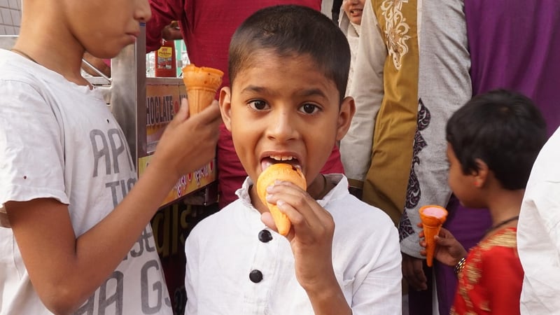 Fiddle Leaf Fig Plant